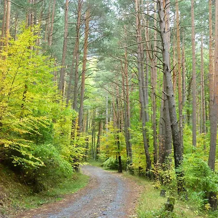 Apartament En Tu Casa Estacion Canfranc