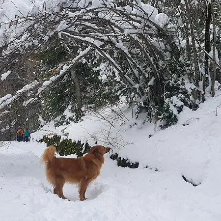 Apartament En Tu Casa Estacion *