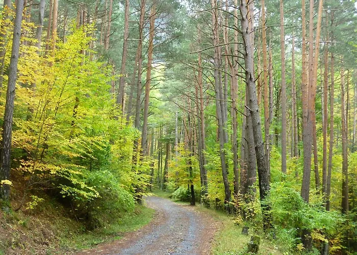 Lägenhet En Tu Casa Estacion Canfranc