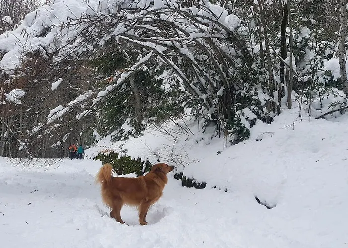 Lägenhet En Tu Casa Estacion *